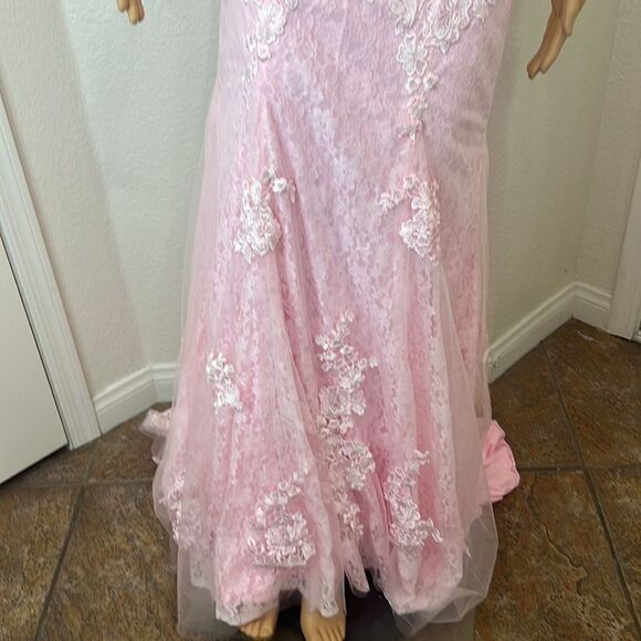 Hebron Pink Wedding Dress Sheer Embroidered Floral Lace High End - Picture 4 of 13